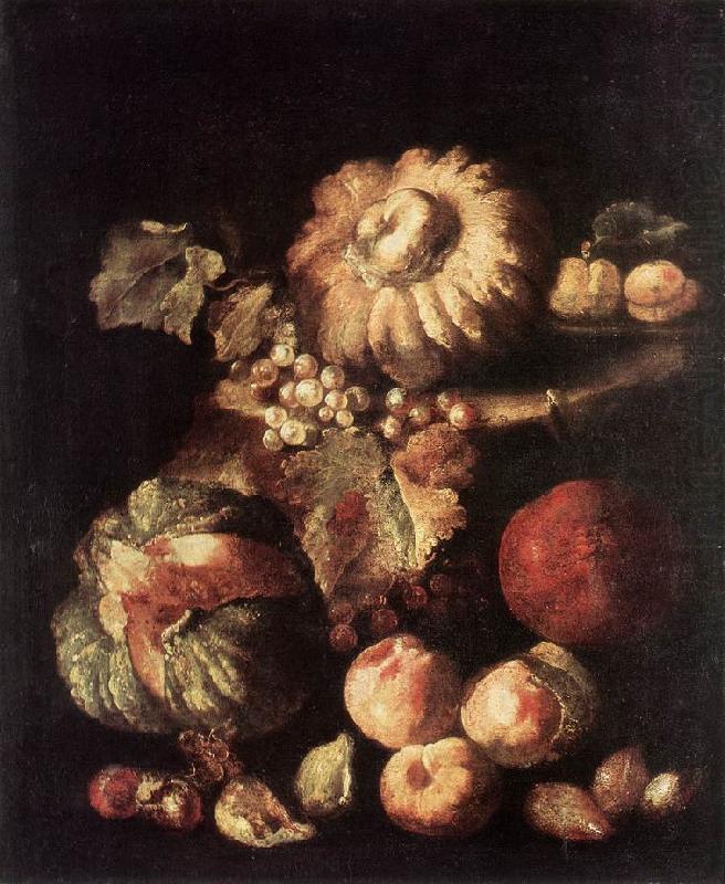 Fruit Still-Life dg, RUOPPOLO, Giovanni Battista